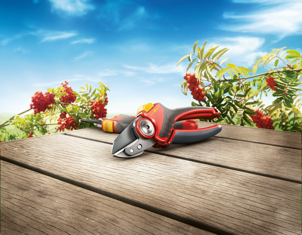Foarfeca de gradina si vie Wolf-Garten RS 2500 Comfort Plus