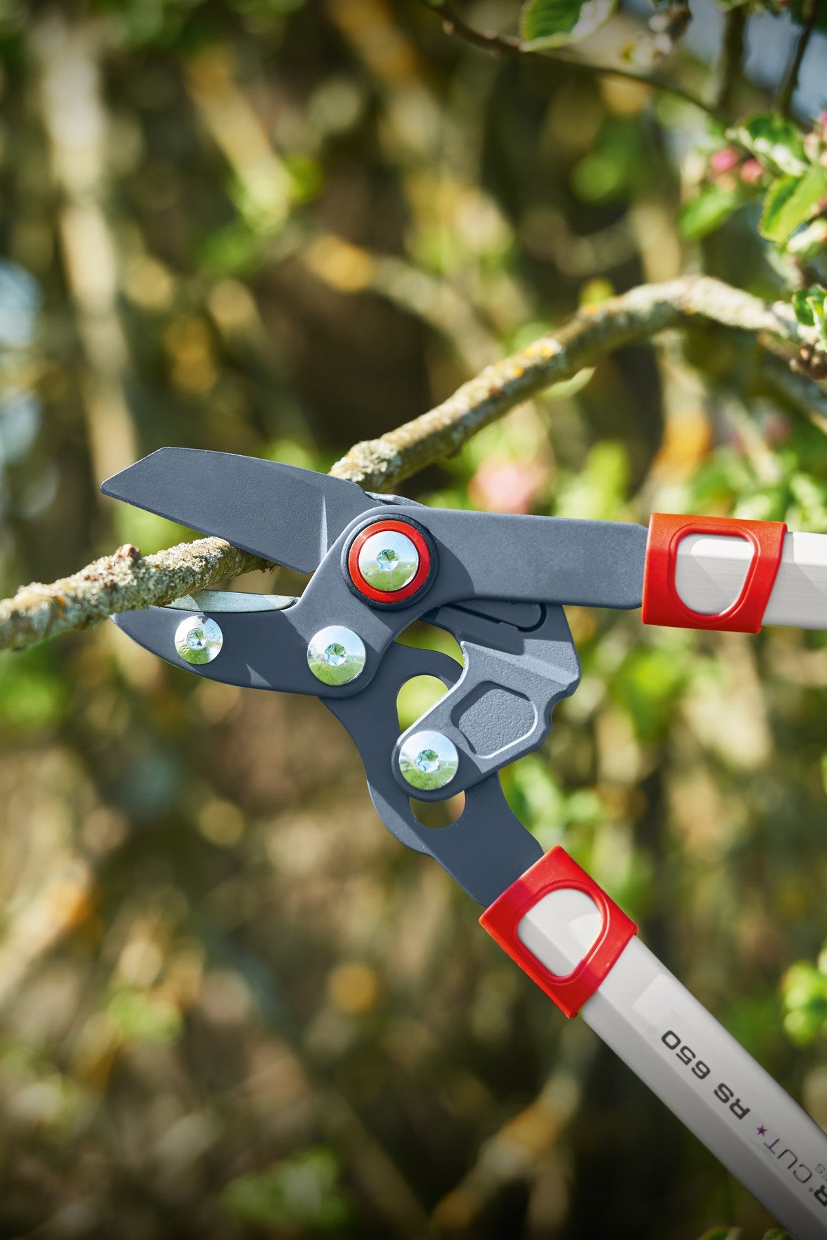 FOARFECA CRENGI 40mm WOLF-GARTEN POWER CUT* RS 650