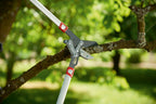 Foarfeca crengi 50mm parghie WOLF-Garten POWER CUT RS 800 V 'anvil'