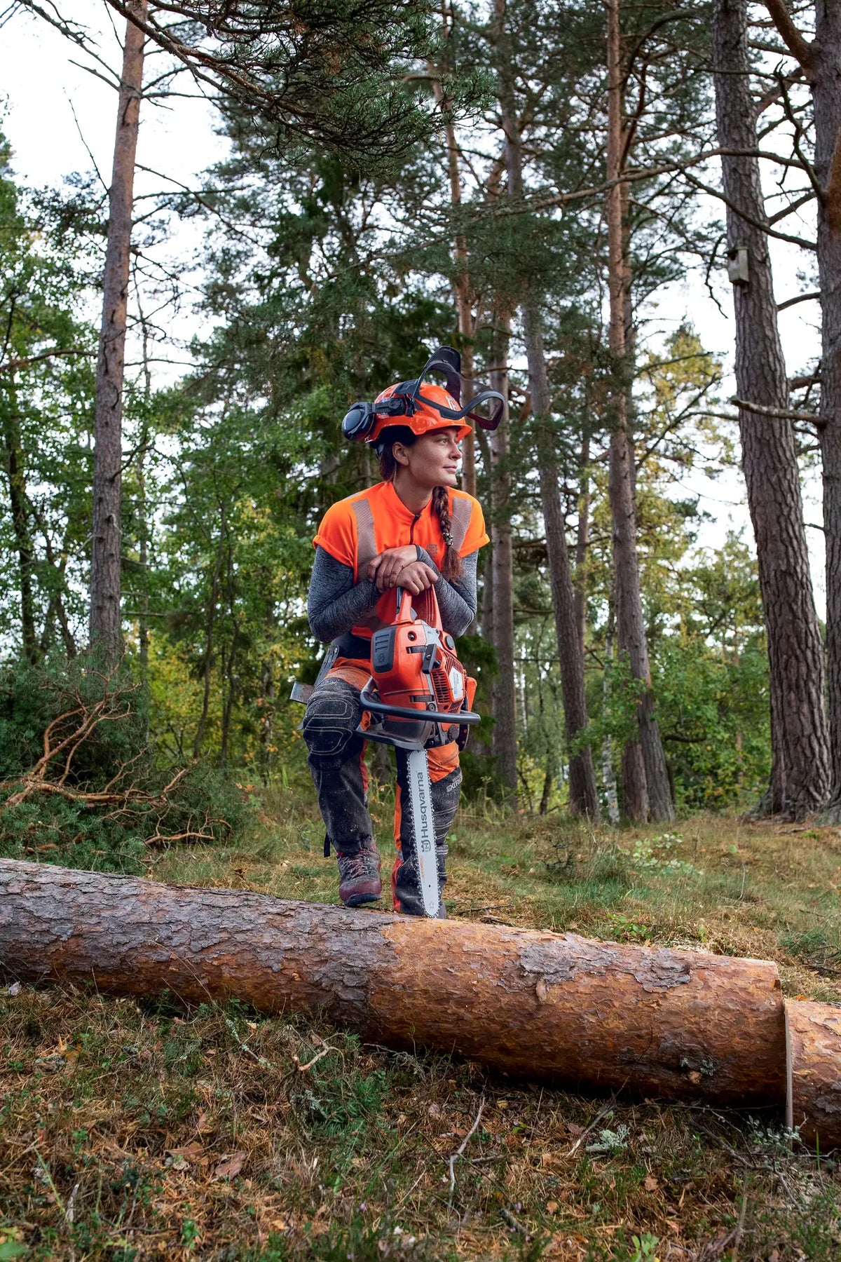 Husqvarna 550 XP® Mark II