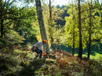 Husqvarna 450S
