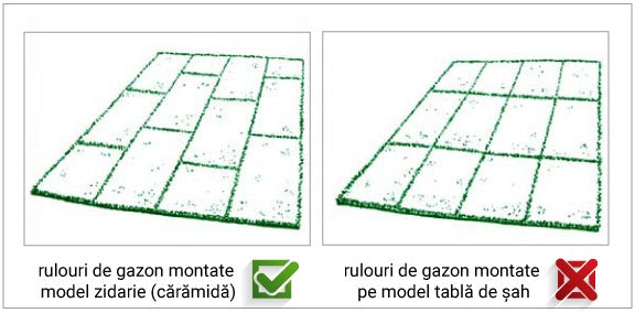 Rulouri Gazon Secetă – imagine 4