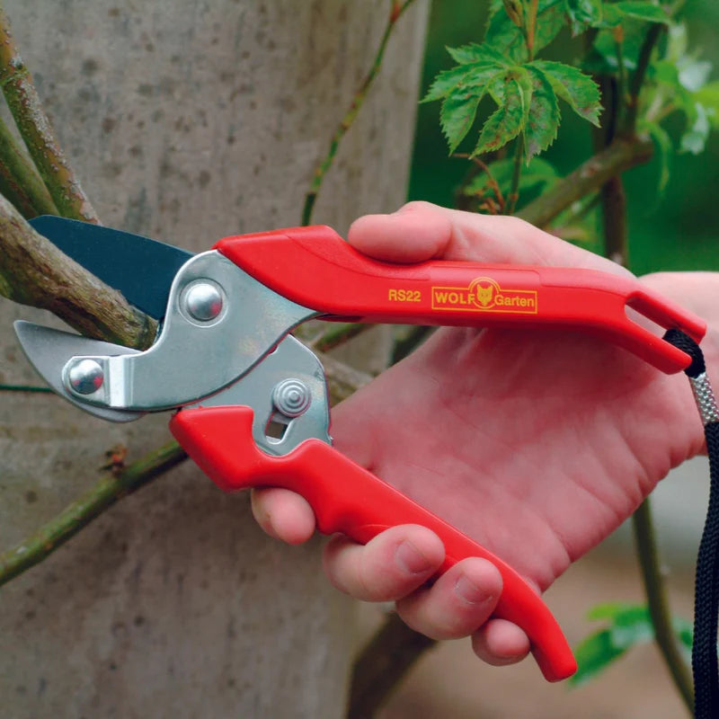 FOARFECA CLASSIC WOLF-GARTEN RS 22 "anvil"
